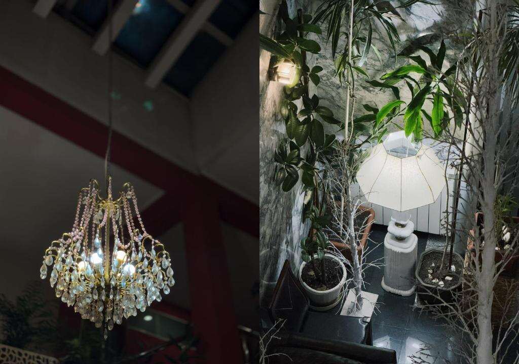 Interior and winter garden